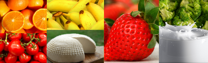 potraviny ktore pri psovi obmedzte