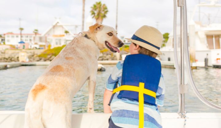Cestovanie na lodi so psom