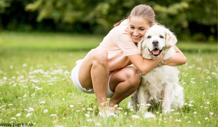 Ako zistíš či ťa tvoj pes má rád
